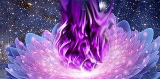 Quatre utilisations de la Flamme Violette